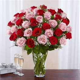 Ultimate Elegance ™ 50 Long Stem Pink & Red Roses
