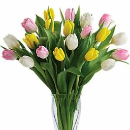 Bouquet of pink, yellow, and white tulips in a clear glass vase