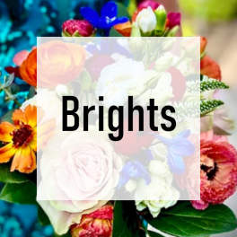 Bright mixed bouquet of roses and other flowers in vivid pink, orange, blue, and white tones with 'Brights' text overlay.