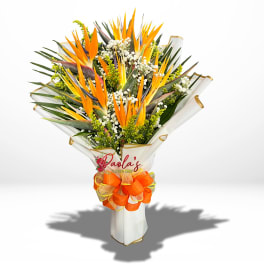 Bouquet of orange bird of paradise flowers with white filler in wrapped paper