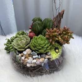 Succulent arrangement in a glass bowl with pebbles and driftwood