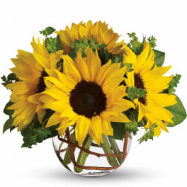 Sunny Sunflowers