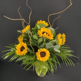 Sunflower arrangement in a glass vase with curly branches