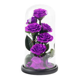 Purple roses under a clear glass dome on a black base