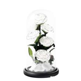 White roses under a glass dome on a black base