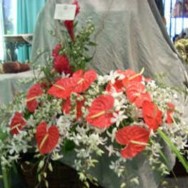 Sympathy Arrangements16