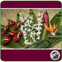 Tropical floral arrangement with red anthuriums, white orchids, and bird of paradise