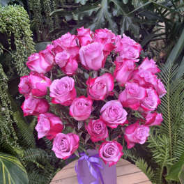 Bouquet of pink roses in a purple vase with a ribbon