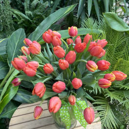Bouquet of coral tulips in a glass vase with a green polka-dot ribbon