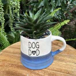 Succulent in a blue-and-white mug with "DOG DAD" text