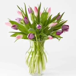 Bouquet of pink and purple tulips in a clear glass vase