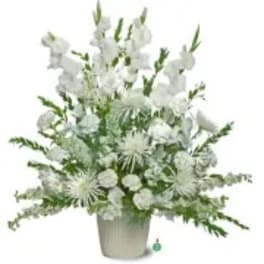 Pure Whites