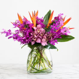 Hawaii - Tropical Flowers Orchids Ti Leaves and more