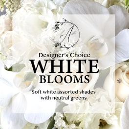 White flowers arranged behind a "White Blooms" text overlay