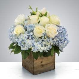 Sail Away by BloomNation™