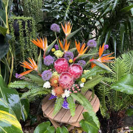Tropical bouquet with orange bird-of-paradise and pink protea in a vase