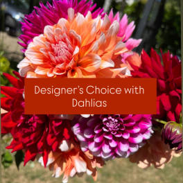 Designer’s Choice with Dahlias