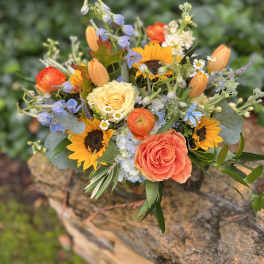 Under the Tuscan Sun