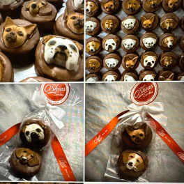 Chocolate dog-face candies arranged in gift packaging