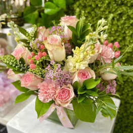 Pink and cream rose arrangement with carnations in a glass cube vase with pink ribbon