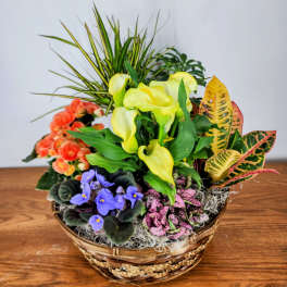 Blooming Garden of Joy Basket