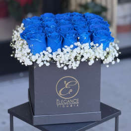 Blue roses arranged in a black square box with white baby's breath