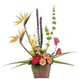 Tropical flower arrangement in a woven basket with tall colorful blooms