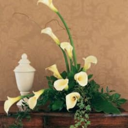 White calla lilies arranged in a wooden planter with trailing greenery