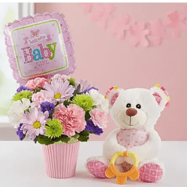 Welcome Baby Girl Luxe Gift Set