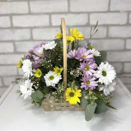 Daisy Dreams Basket