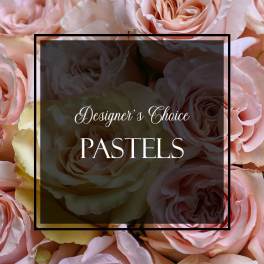 Close-up of pastel pink and cream roses with a transparent text overlay reading Designer's Choice Pastels.