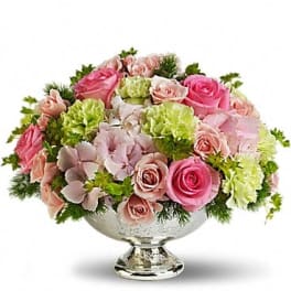 Pink and blush roses with green carnations in a silver pedestal bowl