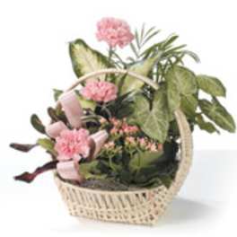 Pink flowers in a wicker basket with assorted potted plants
