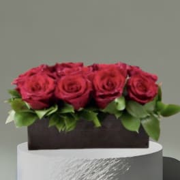 Red roses arranged in a dark rectangular box