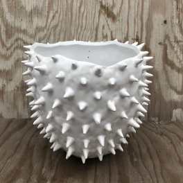 White spiked ceramic planter on a wooden surface