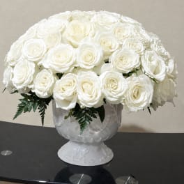 White Roses in cup
