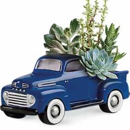Blue vintage pickup truck planter with succulents