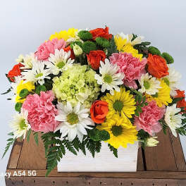 Sorbet Bouquet (DL)