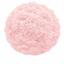 Round bouquet of pale pink carnations