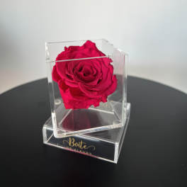 Petit Forever Boîte (Fuschia)
