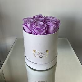 Forever Love (Lavender)