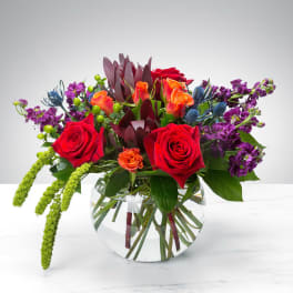 The Sound of Joy by Cactus flowers by Tania