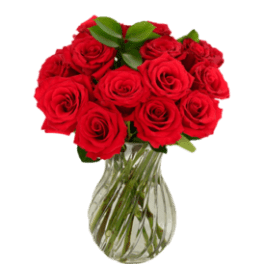 Red roses arranged in a clear glass vase