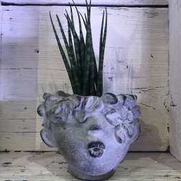 Potted snake plant in a sculpted face planter