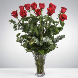 Dozen Long Stemmed Red Roses by BloomNation™