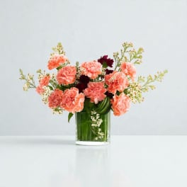 Coral carnations in a clear glass vase with small white filler flowers