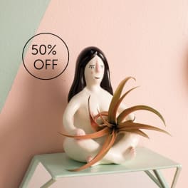 Ceramic figurine holding an air plant on a small table with a 50% off sign