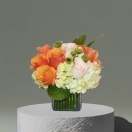 Orange and pale pink roses in a glass vase with white hydrangeas