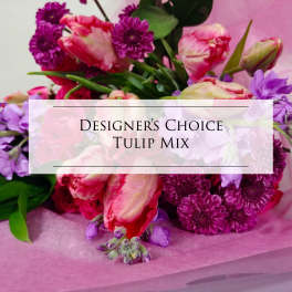 Bouquet of pink and purple tulips with purple daisies