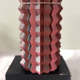 3D color changing vase shipping only